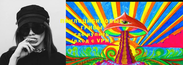 мескалин Надым