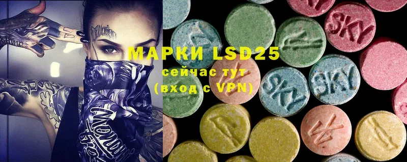 Лсд 25 экстази ecstasy  где купить наркотик  Чкаловск 