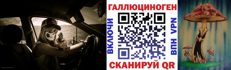 Галлюциногенные грибы Psilocybine cubensis  Чкаловск 