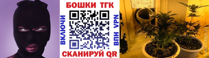 darknet наркотические препараты  Чкаловск  Бошки Шишки ГИДРОПОН  хочу наркоту 